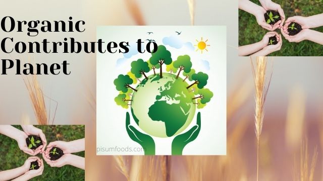 organic contributes to planet